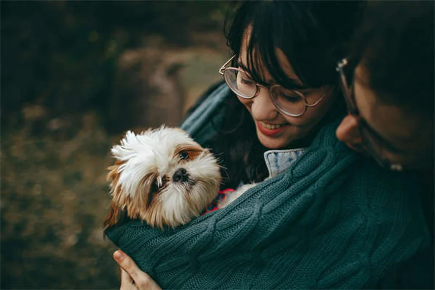 Why Is My Dog Limping? 5 Common Causes & What to Do